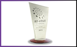 NEF-AWANI ICT Awards 2010